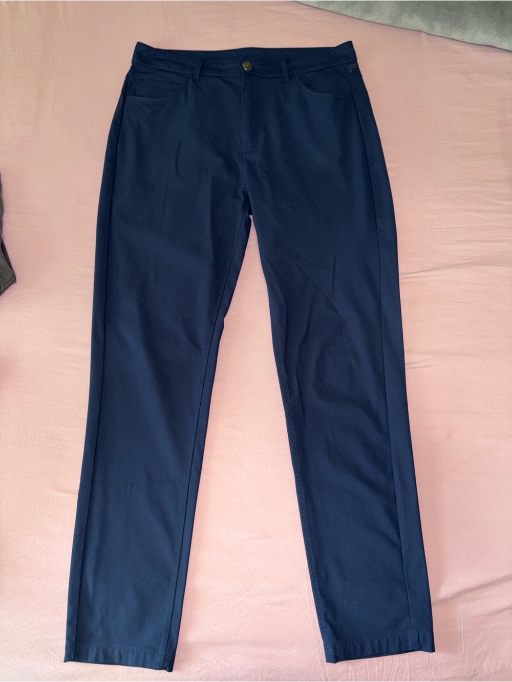 Men's Navy Blue Fabletics Pants